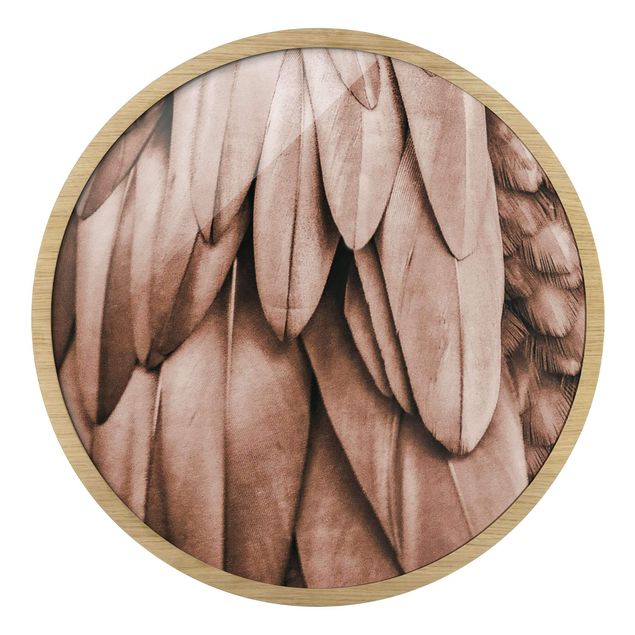 Obrazy w ramie okrągłe Feathers In Rosegold