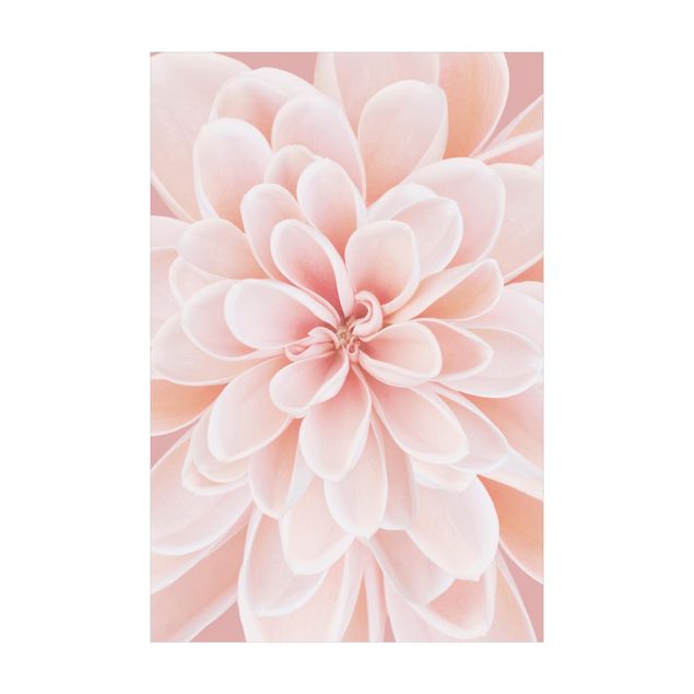 dywan w kwiaty Dahlia w pastelowym różu