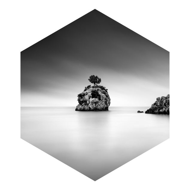 Sześciokątna tapeta samoprzylepna - Skalna wyspa na morzu Czarno-biały