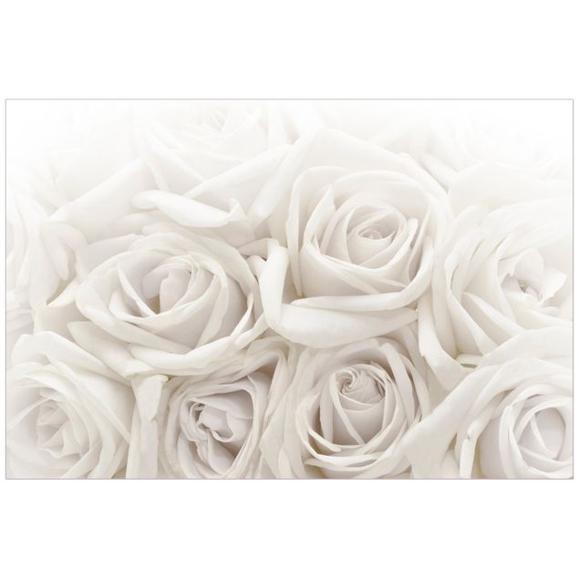 Folia okienna do salonu Białe róże