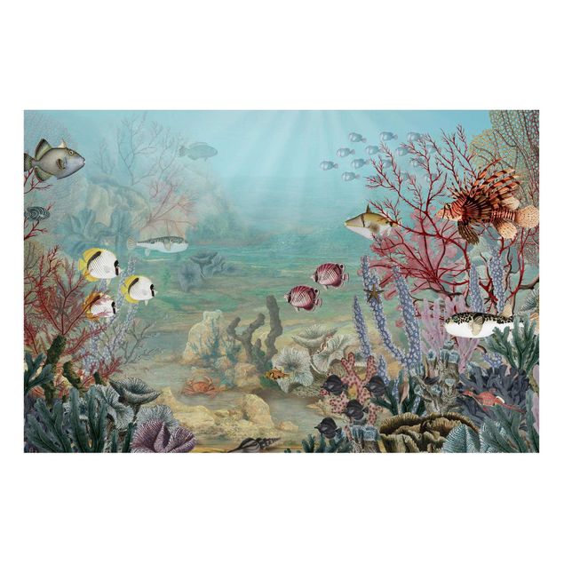 Nowoczesne obrazy do salonu Odległy widok na rafę koralową