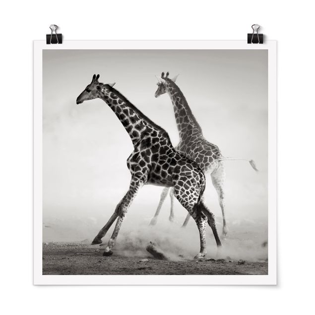 Nowoczesne obrazy Polowanie na żyrafę
