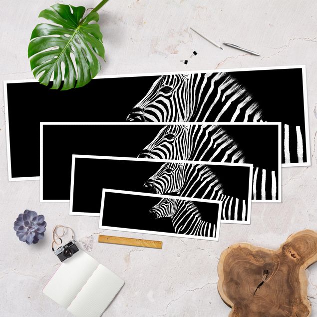 Plakaty czarno białe Zebra Safari Art