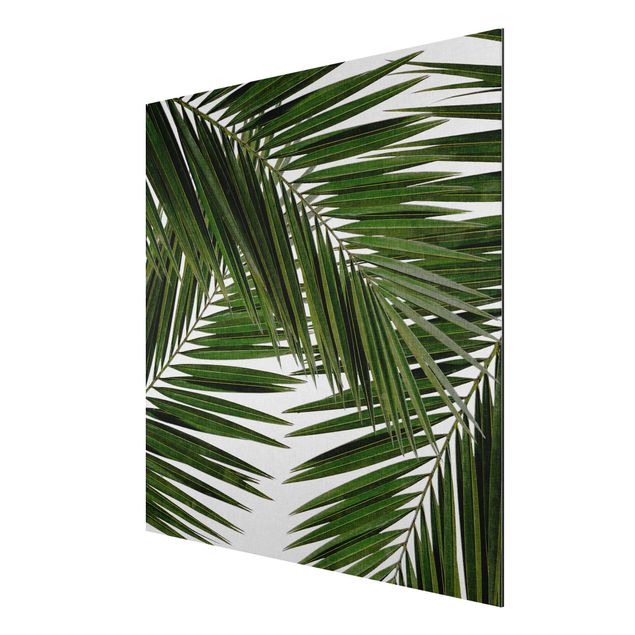 Nowoczesne obrazy Widok przez zielone liście palmy