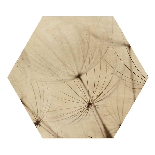 Obraz heksagonalny z drewna - Delikatne trawy