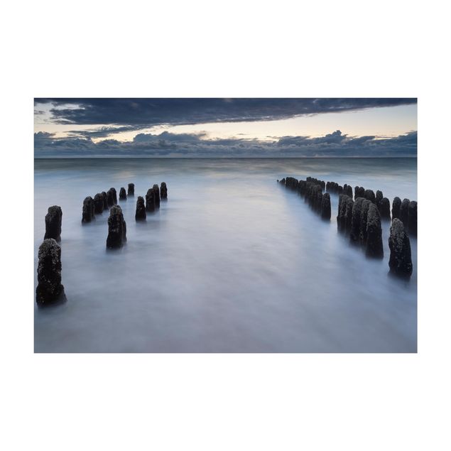 wykładzina natura Drewniane groty na Morzu Północnym na wyspie Sylt