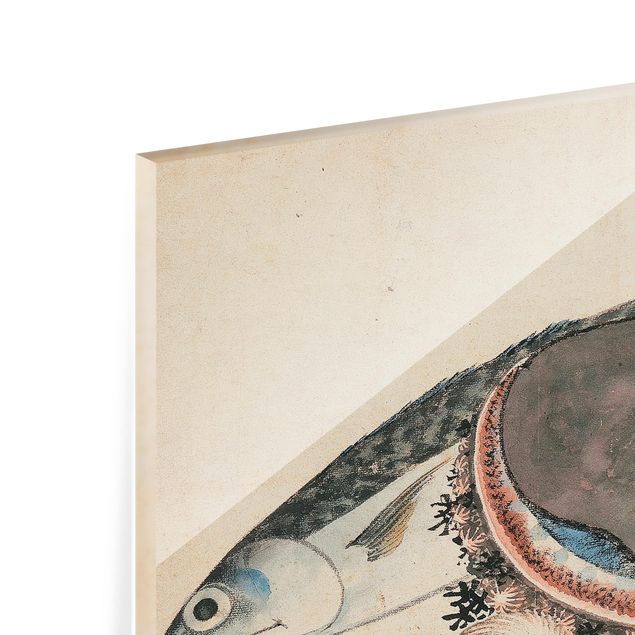 Panel szklany do kuchni - Katsushika Hokusai - Makrela i przegrzebki