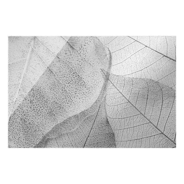 Obrazy motywy kwiatowe Filigranowa struktura liści w srebrze