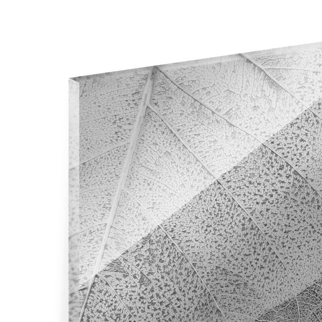 Obrazy Filigranowa struktura liści w srebrze