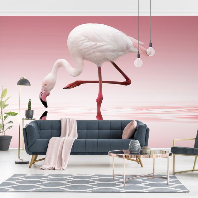 Fototapeta flamingi Taniec flamingów