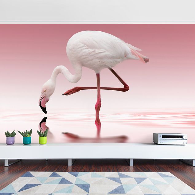 Fototapeta ptaki Taniec flamingów