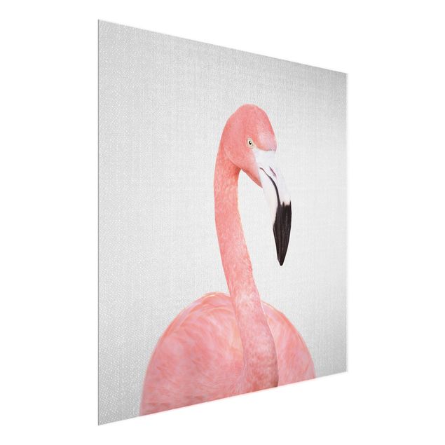 Pióro obraz Flamingo Fabian