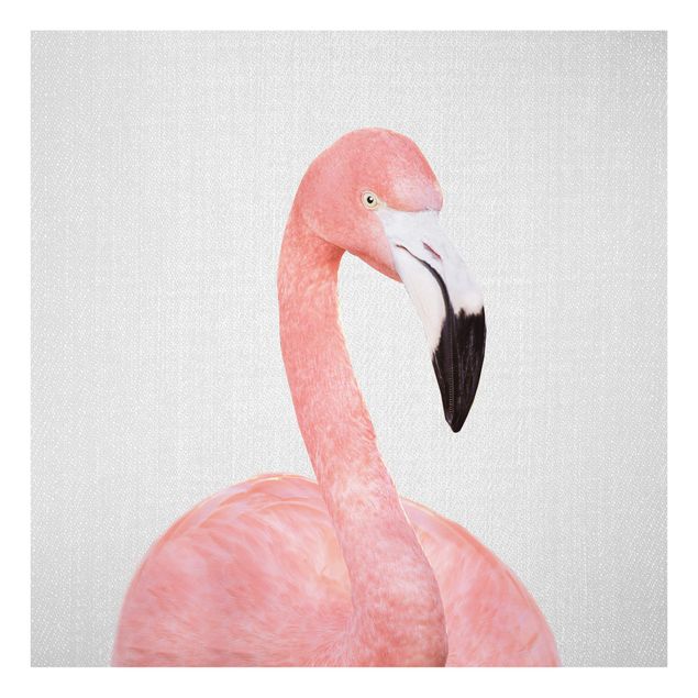 Obrazy na szkle zwierzęta Flamingo Fabian