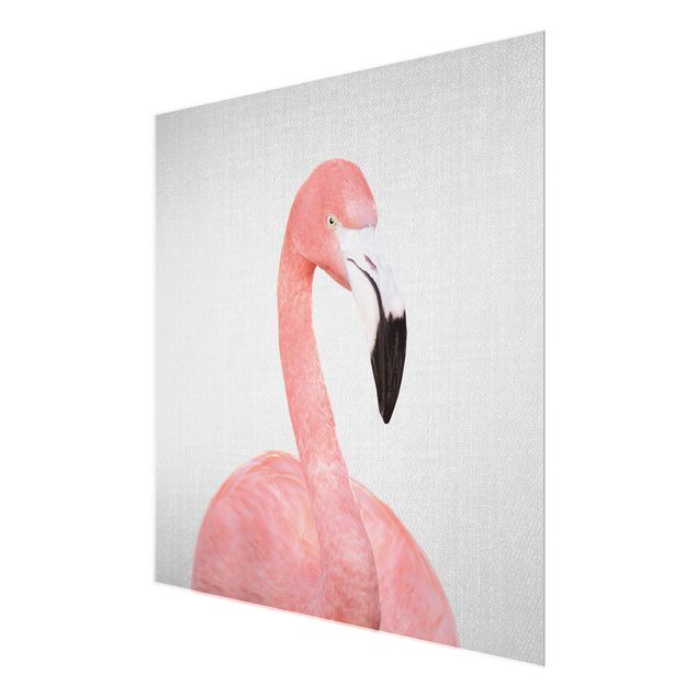 Obrazy nowoczesny Flamingo Fabian