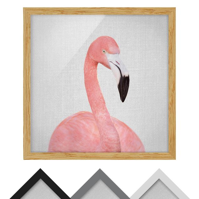 Obrazy zwierzęta Flamingo Fabian