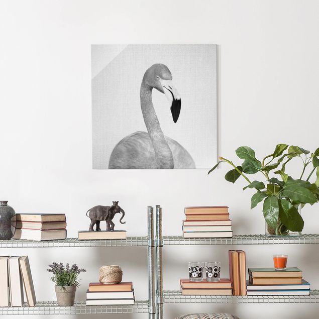 Obrazy na szkle kwadrat Flamingo Fabian Black And White