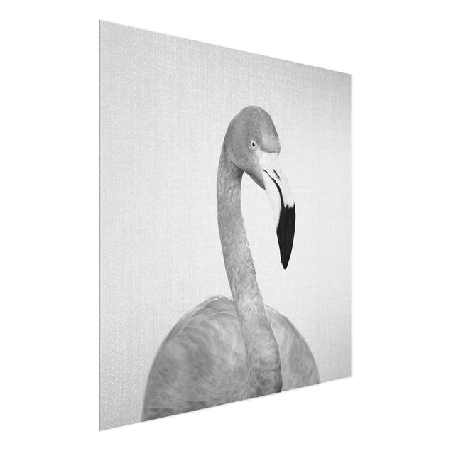 Obrazy pióra Flamingo Fabian Black And White