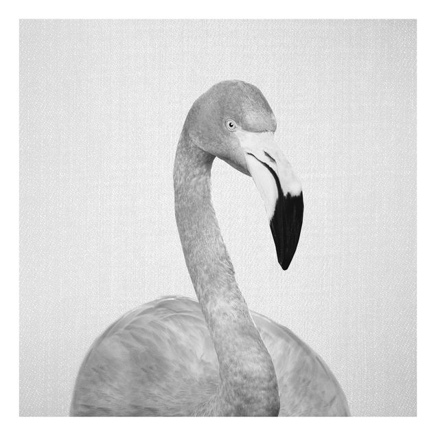 Obrazy na szkle zwierzęta Flamingo Fabian Black And White