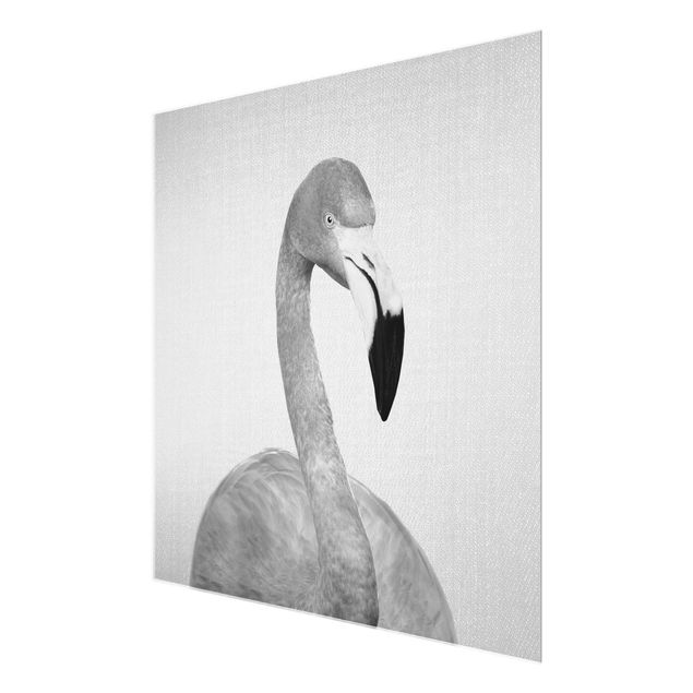 Nowoczesne obrazy Flamingo Fabian Black And White