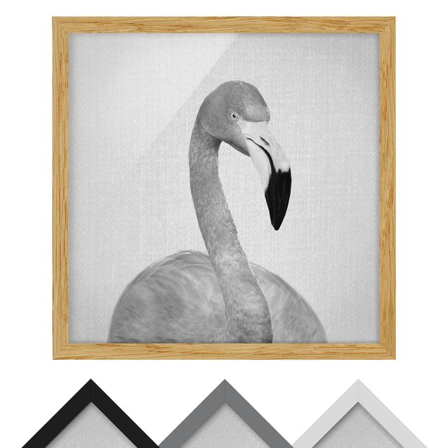 Obrazy ze zwierzętami Flamingo Fabian Black And White