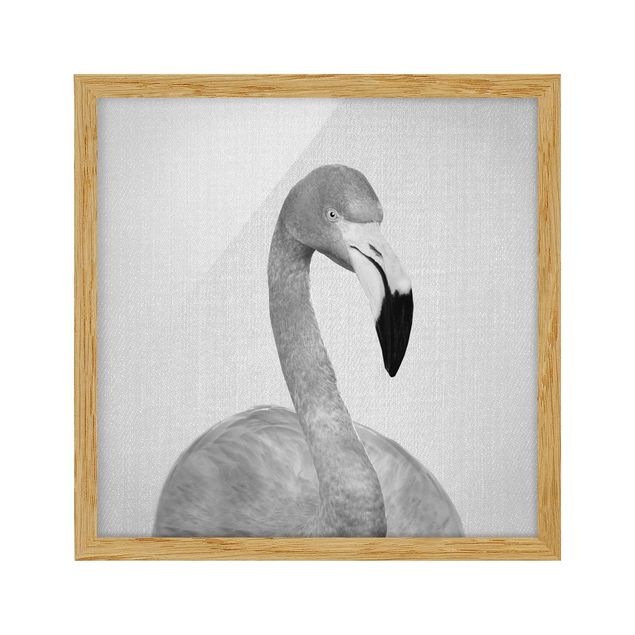 Nowoczesne obrazy do salonu Flamingo Fabian Black And White