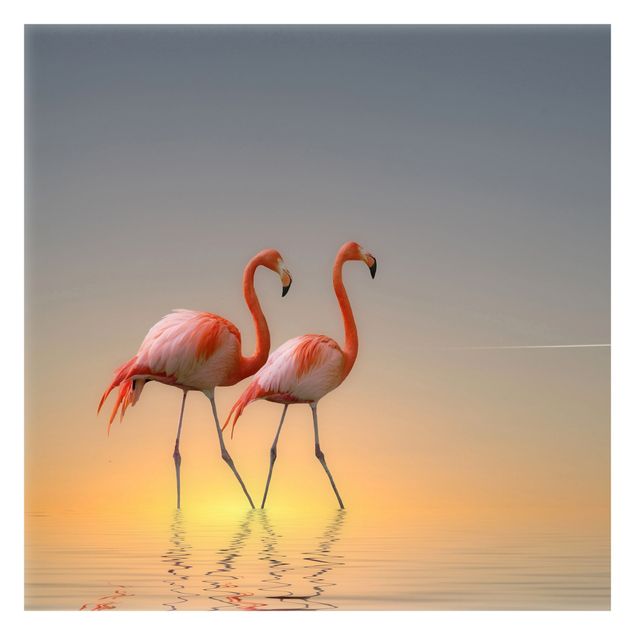 Tapety zwierzęta Miłość flaminga