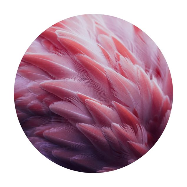 dywany natura Zbliżenie na pióra flaminga