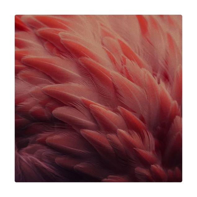 dywan do jadalni Zbliżenie na pióra flaminga