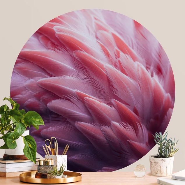 Dekoracja do kuchni Zbliżenie na pióra flaminga