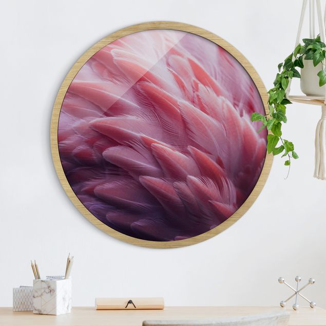 Obrazy w ramie zwierzęta Flamingo Feathers Close-Up