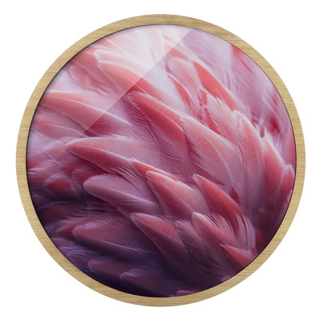 Obrazy pióra Flamingo Feathers Close-Up