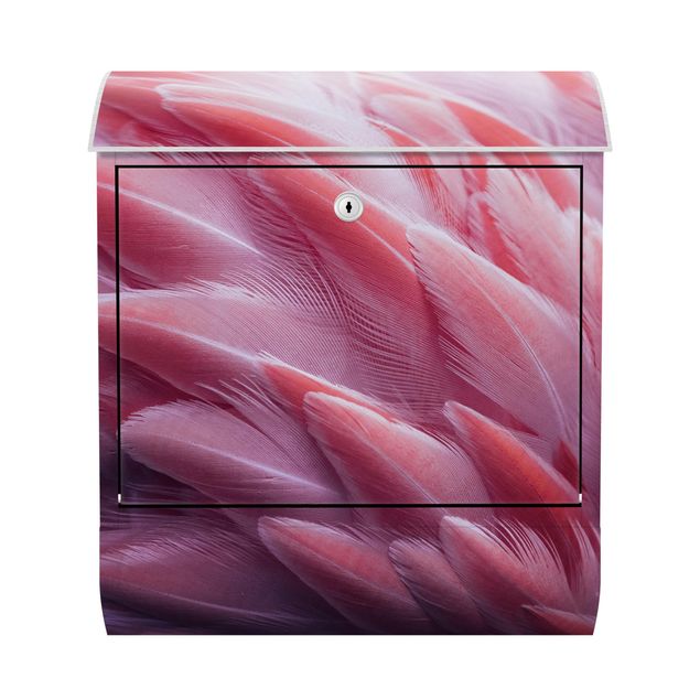 Skrzynka na listy - Zbliżenie na pióra flaminga