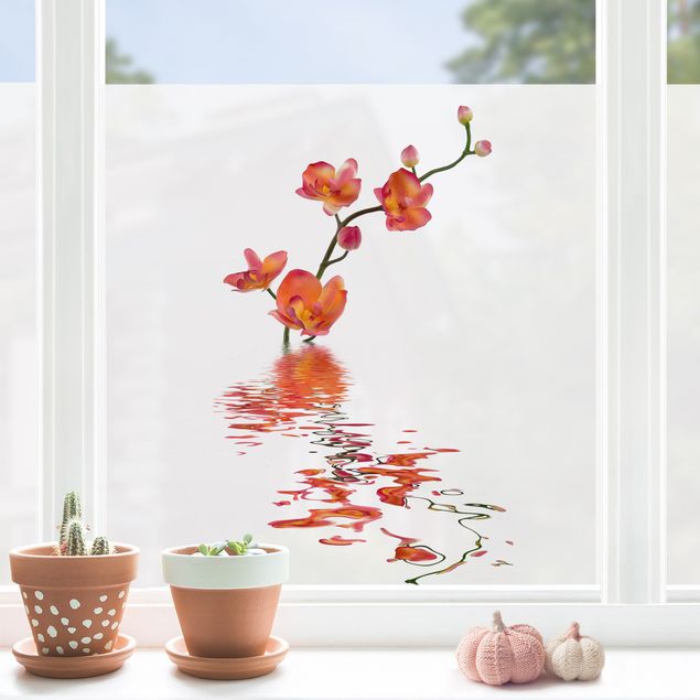 Folia okienna do sypialni Pieniste wody orchidei