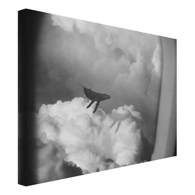 Obrazy ryby Latający wieloryb w chmurach