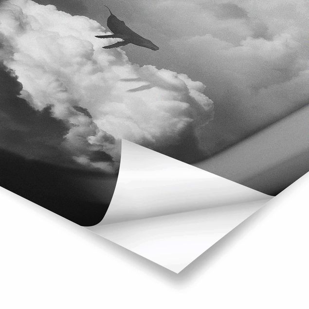 Jonas Loose obrazy Latający wieloryb w chmurach