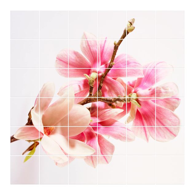 Naklejki na płytki kwiaty Kwiaty magnolii