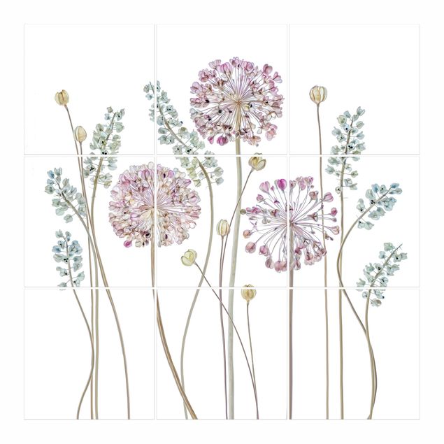 Naklejki na płytki Allium Ilustracja