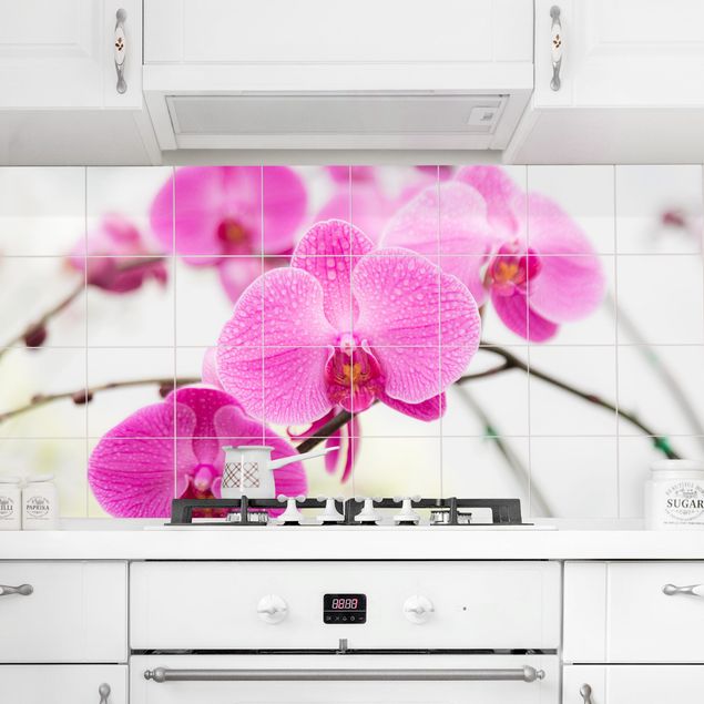 Dekoracja do kuchni Kwiatowy storczyk w zbliżeniu