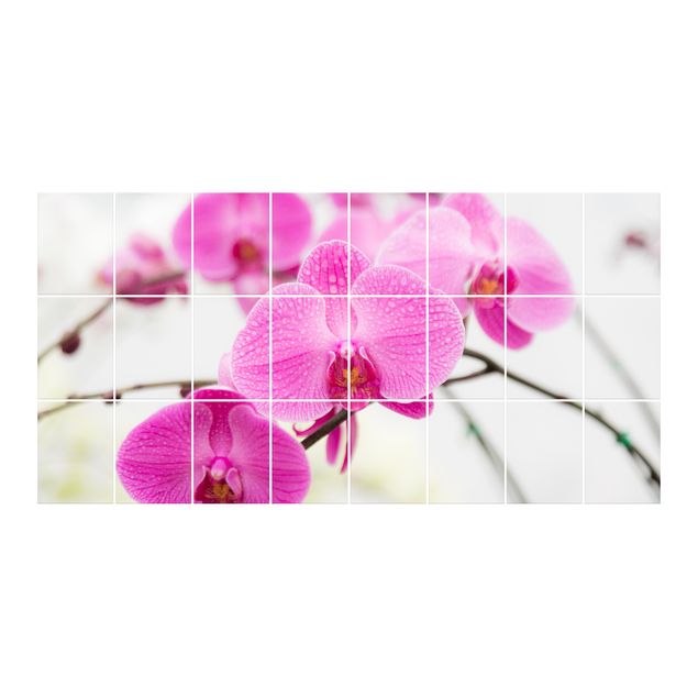 Naklejka na płytki - Kwiatowy storczyk w zbliżeniu