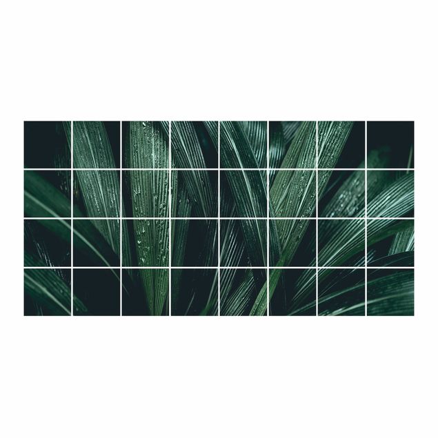 Naklejki na płytki Zielone liście palmy