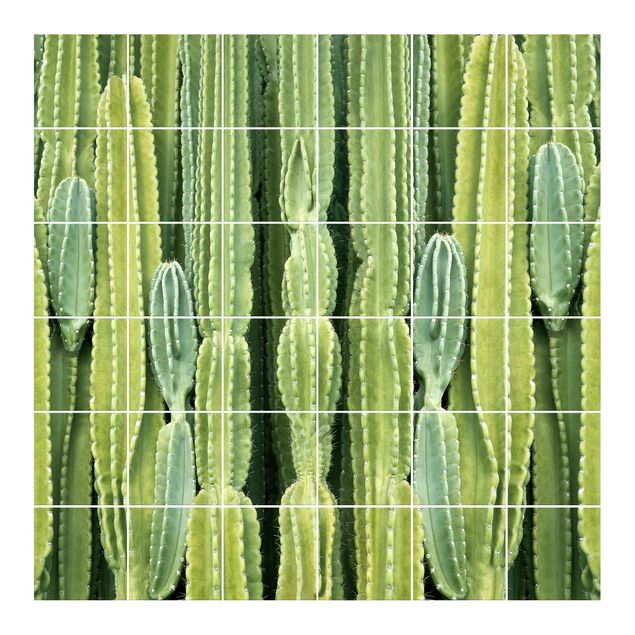 Naklejki na płytki kwiaty Ściana kaktusów