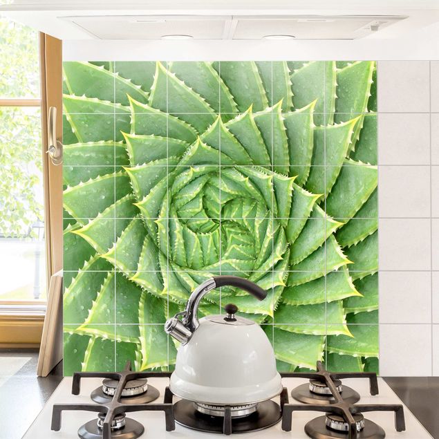 Dekoracja do kuchni Aloes spiralny