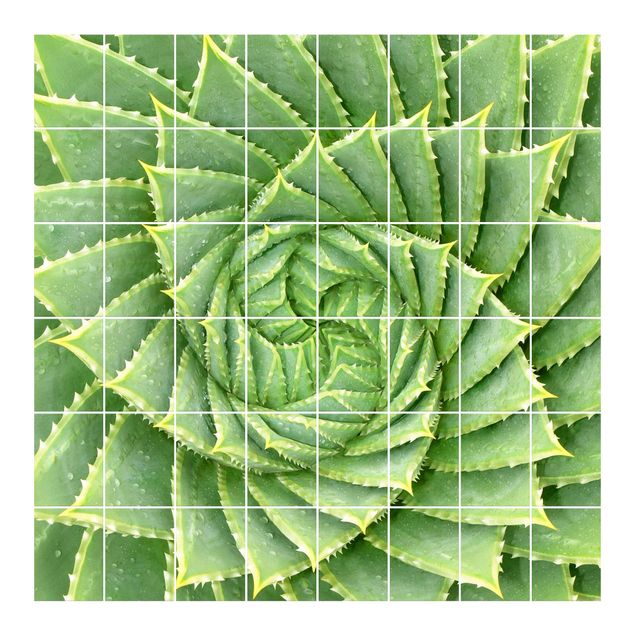 Naklejka na płytki - Aloes spiralny
