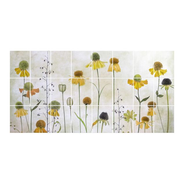 Naklejka na płytki - Czułe kwiaty Helenium