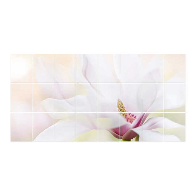 Naklejka na płytki - Czuły kwiat magnolii