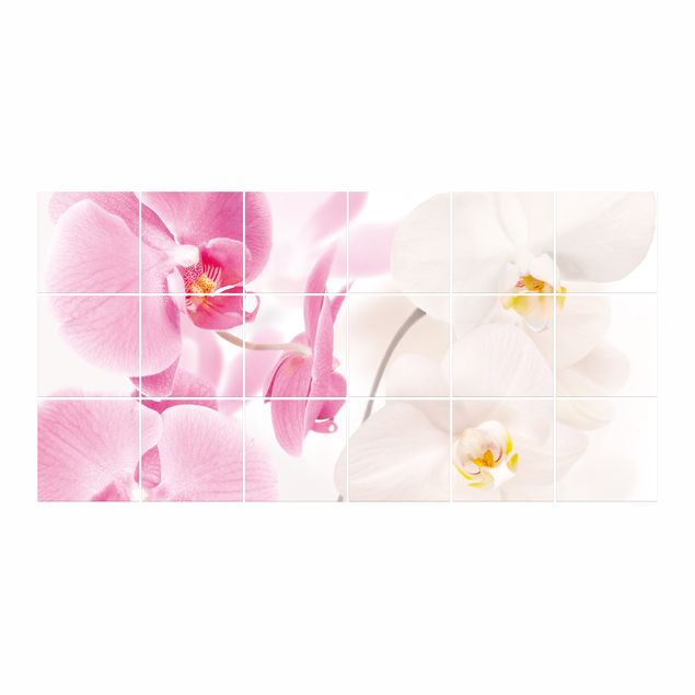 Naklejka na płytki - Folia na kafelki - Orchidee Delikatne orchidee - Orchidee Naklejka na kafelki