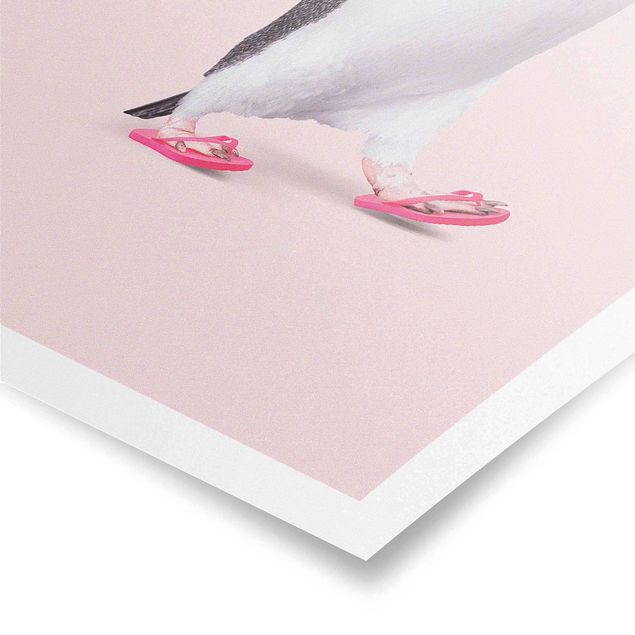 Plakaty ze zwierzętami Pingwin z klapkami