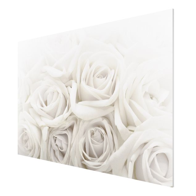 Nowoczesne obrazy Białe róże