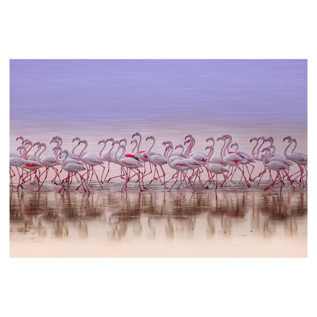 Tapety Przyjęcie pod Flamingo