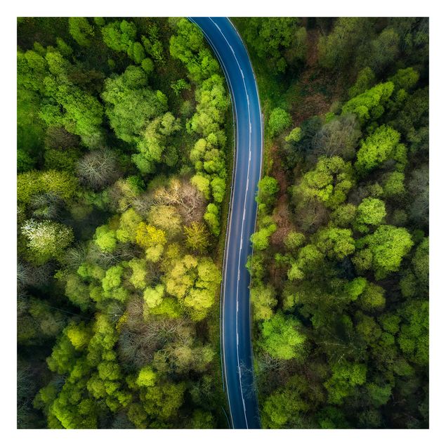 Fototapeta - Zdjęcie lotnicze - Droga asfaltowa w lesie